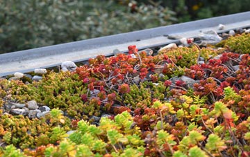 the cost of Baddesley Ensor green roof installation