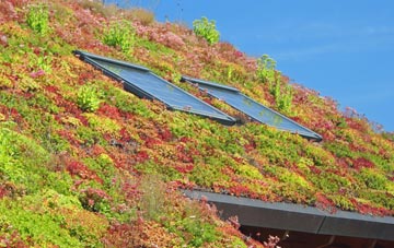 Baddesley Ensor living roof systems