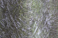 Baddesley Ensor fibreglass roof work